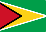 Flag of Guyana - Tyme Global Direct